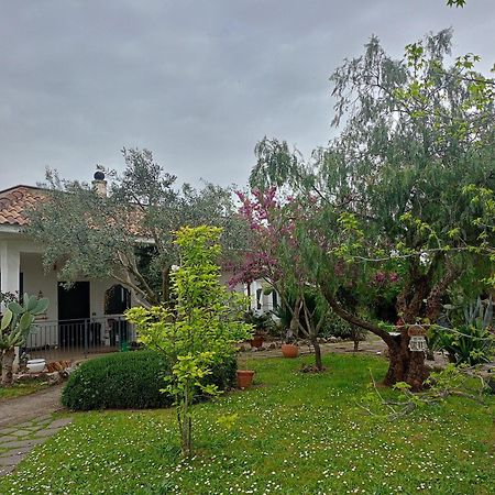 Готель La Casa Di Fede Lanuvio Екстер'єр фото
