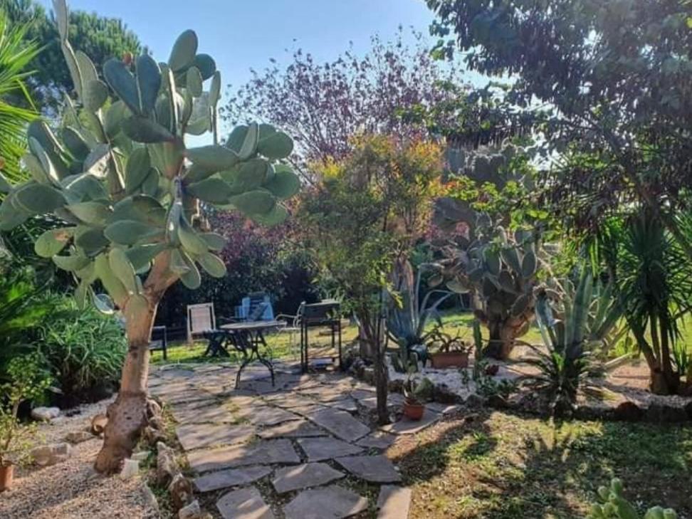 Готель La Casa Di Fede Lanuvio Номер фото