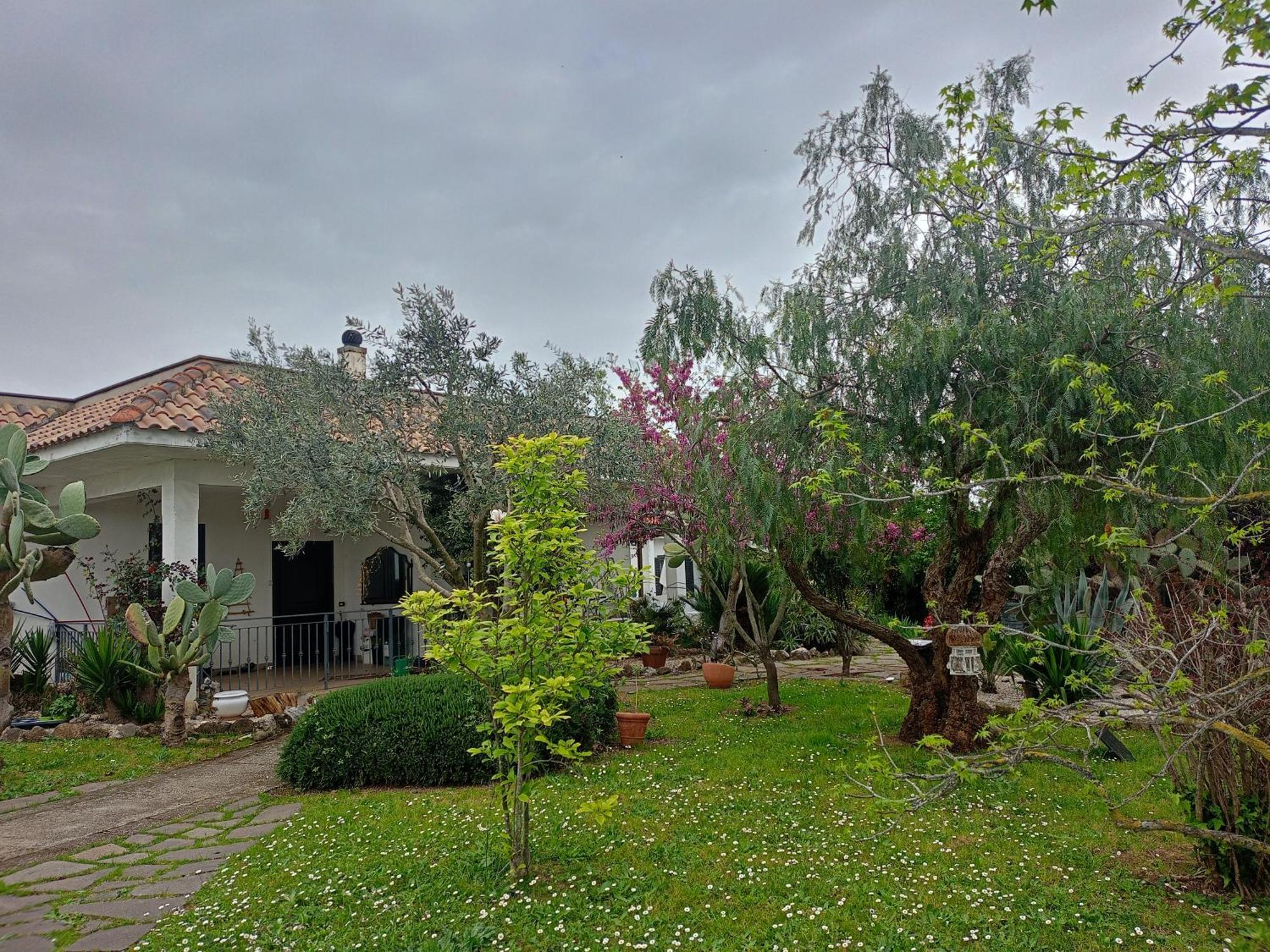 Готель La Casa Di Fede Lanuvio Екстер'єр фото